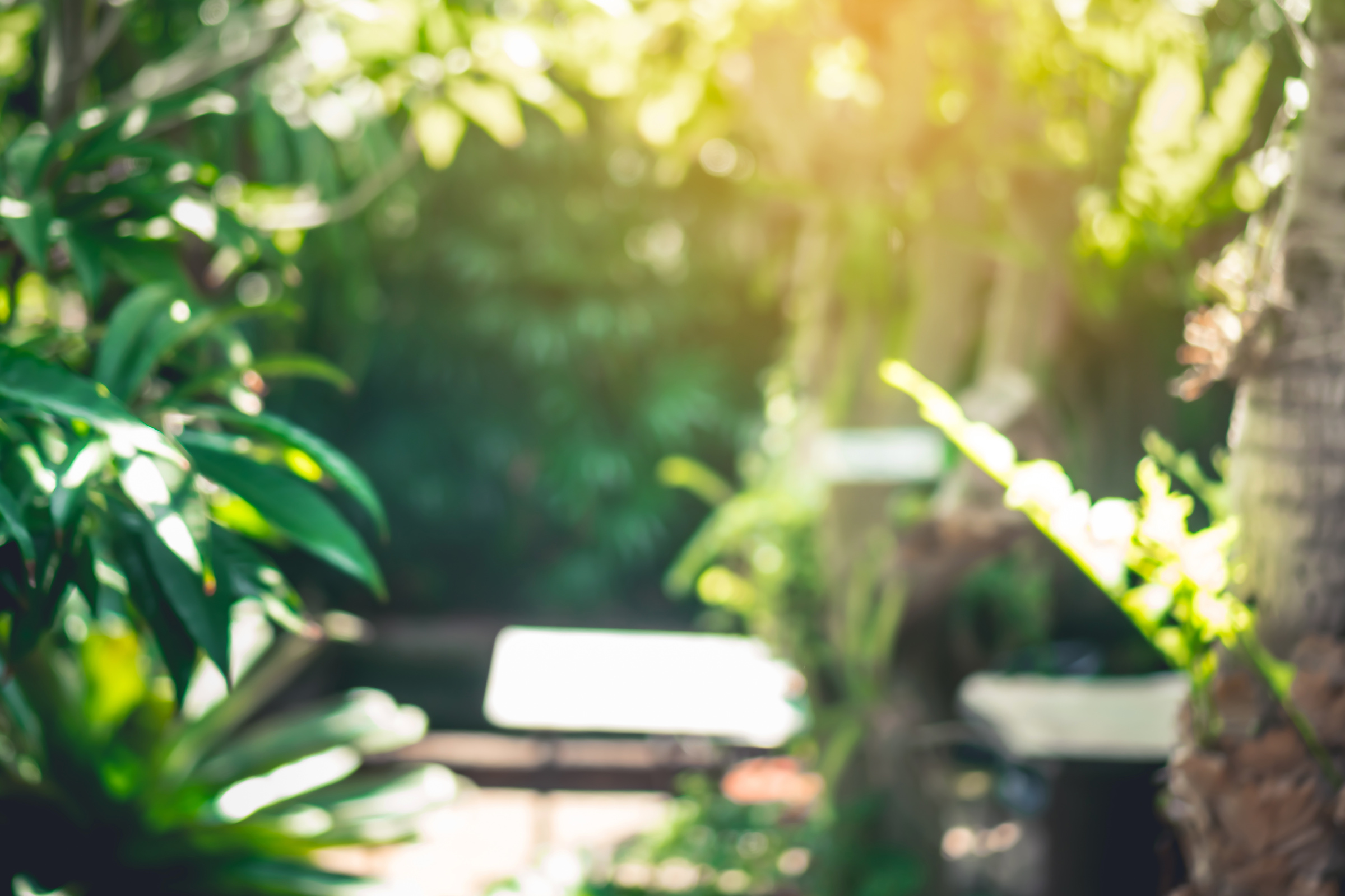 Blur garden cafe with green nature bokeh background